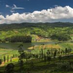 Mysore Coorg Ooty 8-day tour