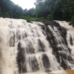 Wayanad Coorg Mysore adventure trip