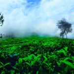 Bangalore to Coorg 6-day tour