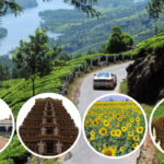 Bangalore to Ooty package
