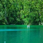 Munnar tour from Bangalore