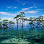 Andaman Islands trip from Bangalore
