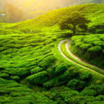 Darjeeling Gangtok 6-day family holiday