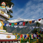 Shimla Manali Dharamshala tour