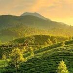 Munnar adventure tours