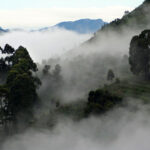 Mysore Coorg holiday package