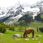 6-day Kashmir Katra itinerary