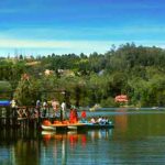 Mysore Coorg Wayanad 7-day tour