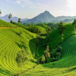 mysore-coorg-wayanad-itinerary-890x530