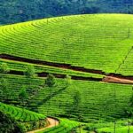 Mysore Coorg Ooty 6-day tour