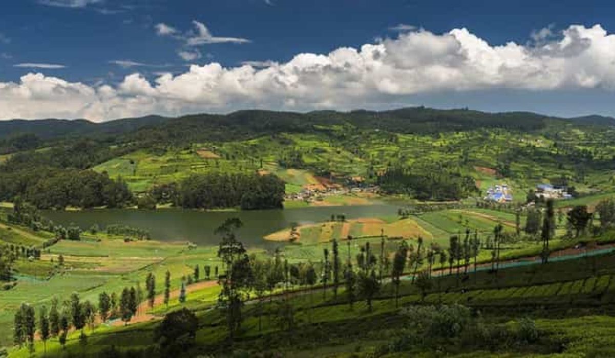 Mysore Coorg Ooty 8-day tour