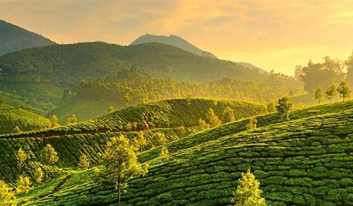 10-day Kerala and Tamil Nadu trip