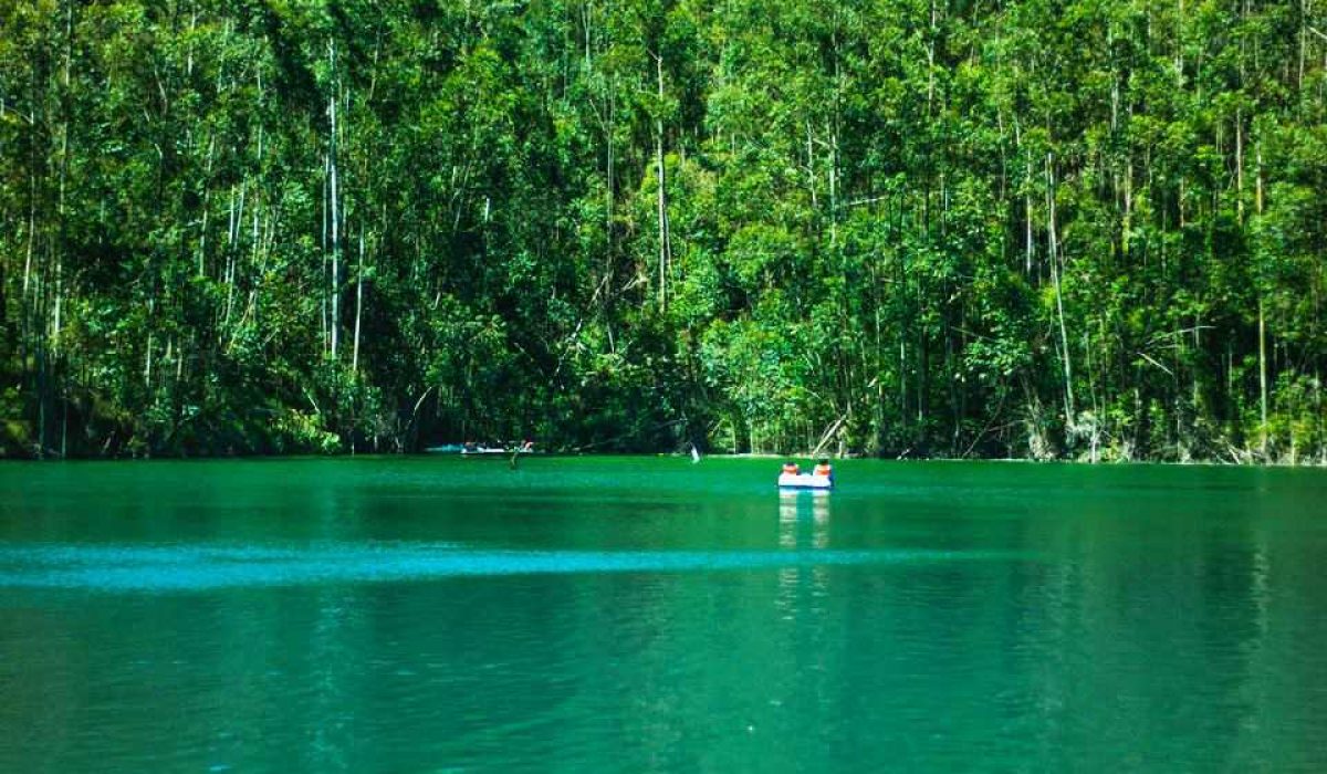 Munnar tour from Bangalore
