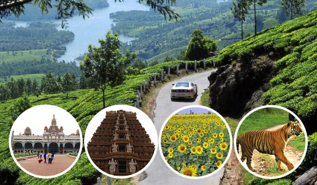 Bangalore to Ooty package