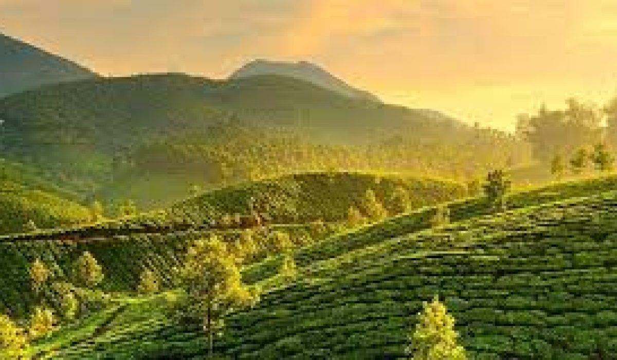 Munnar adventure tours