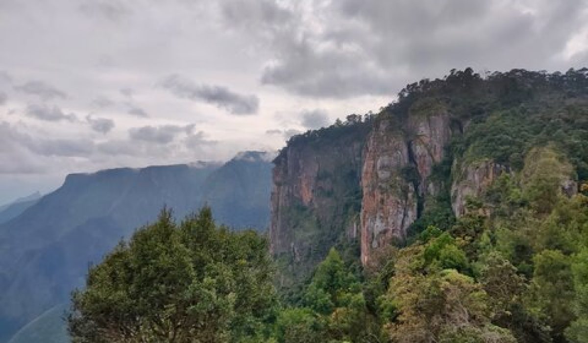 Wayanad Ooty Kodaikanal tour