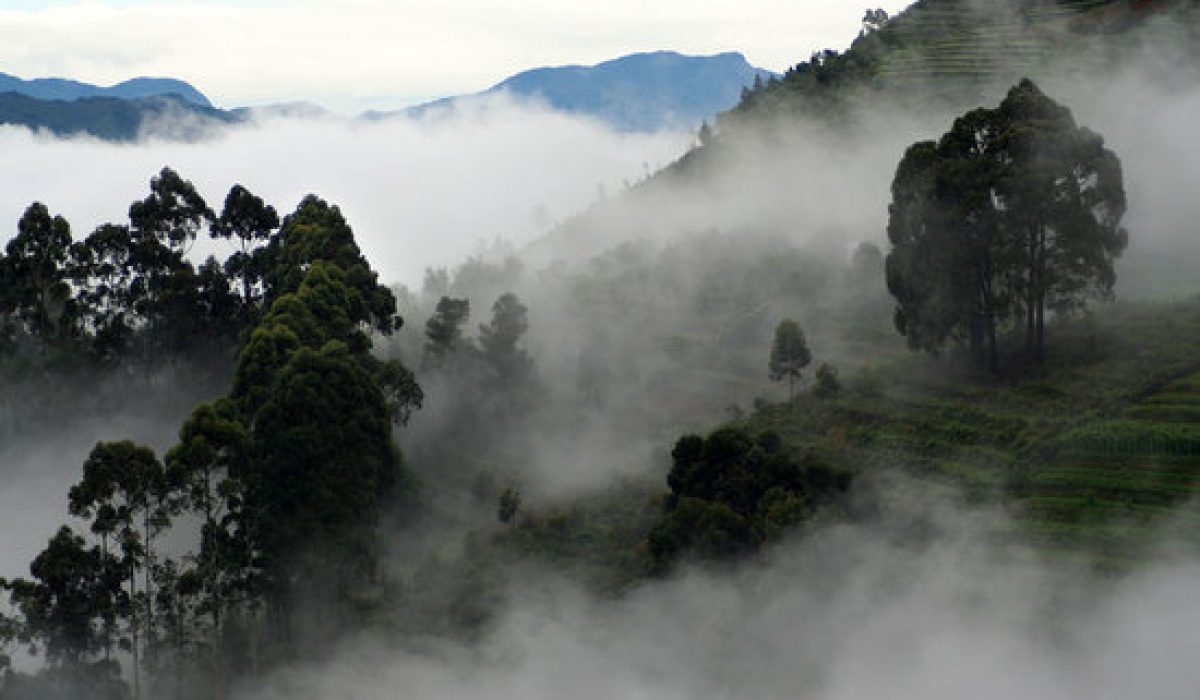 Mysore Coorg holiday package