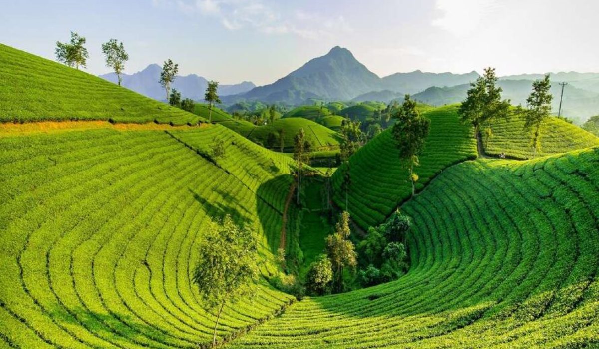 mysore-coorg-wayanad-itinerary-890x530